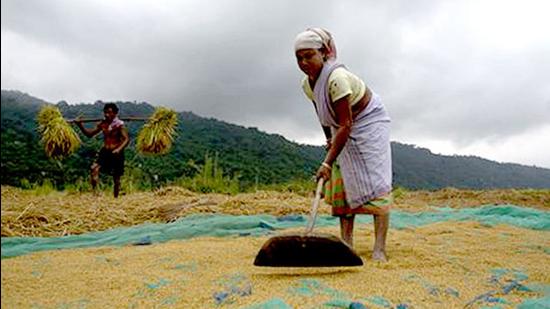 Eight districts of central Maharashtra, many districts in Vidarbha and north Maharashtra suffered heavy losses of lives, livestock and the crops in last week of September.