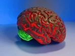 Not all brain tumours are cancerous(Unsplash) Not all brain tumours are cancerous(Unsplash)