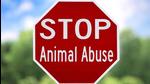 What drives a young person to commit such acts of cruelty, and in full public view on social media? (Shutterstock) What drives a young person to commit such acts of cruelty, and in full public view on social media? (Shutterstock)