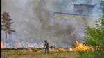 On October 13, a total of 132 events were captured by the satellite in Punjab. On the same day in 2019, 117 active fire events were captured, while there were 240 active fire events in the state in 2020. (Representational image/PTI File) On October 13, a total of 132 events were captured by the satellite in Punjab. On the same day in 2019, 117 active fire events were captured, while there were 240 active fire events in the state in 2020. (Representational image/PTI File)
