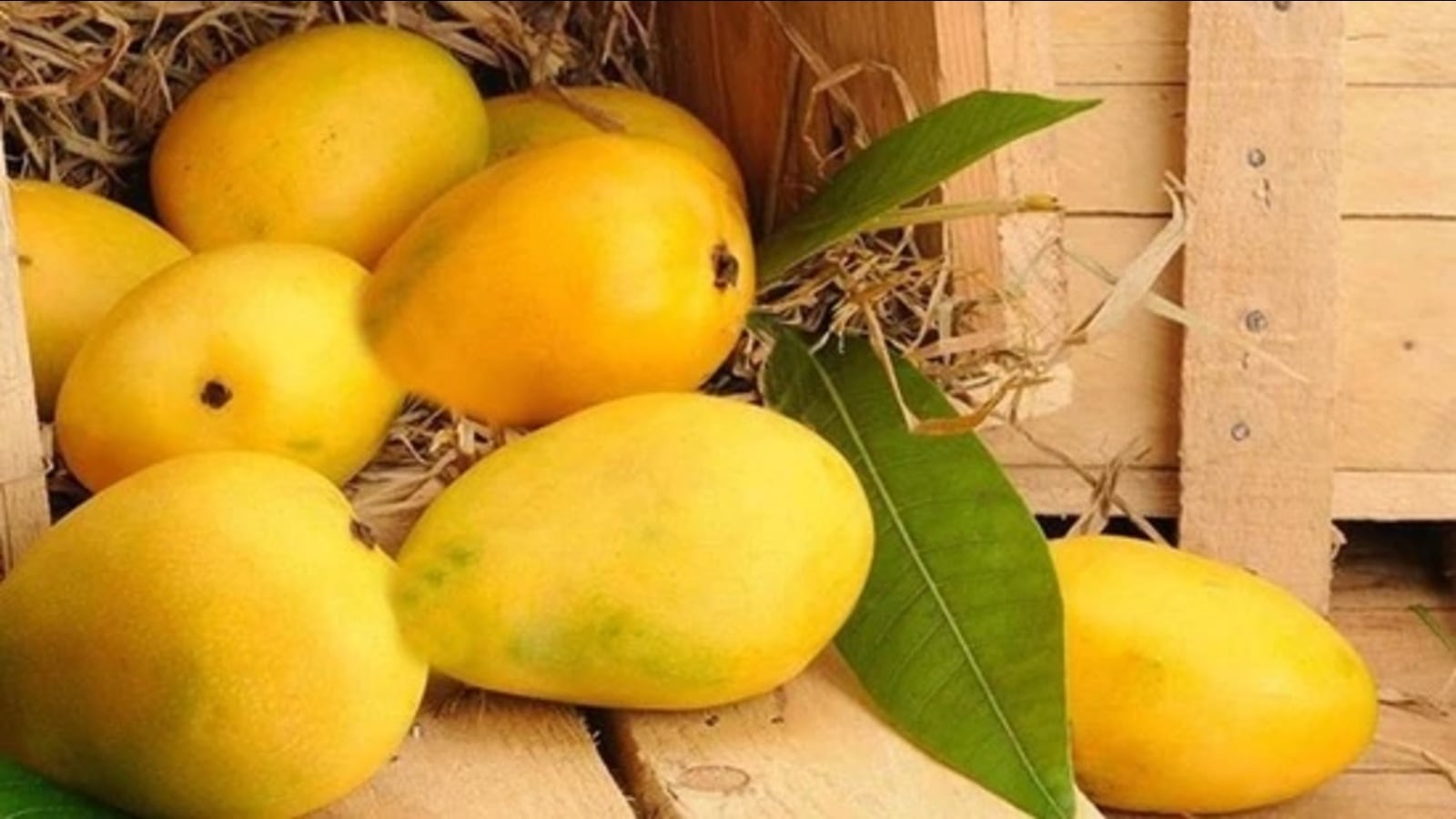 10 Indian Mangoes With GI Tags