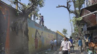 A pipal tree growing through the retaining wall of the Bhatia Morh flyover in Ghaziabad. (Sakib Ali/HT Photo) A pipal tree growing through the retaining wall of the Bhatia Morh flyover in Ghaziabad. (Sakib Ali/HT Photo)