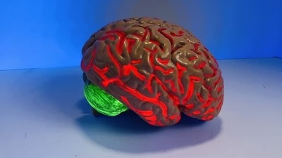 Not all brain tumours are cancerous (Unsplash) Not all brain tumours are cancerous (Unsplash)