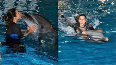 Gauahar Khan's Dubai travel diary is all about kissing, swimming with dolphins (Instagram/gauaharkhan) Gauahar Khan's Dubai travel diary is all about kissing, swimming with dolphins (Instagram/gauaharkhan)