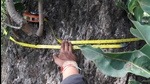 Project Dhvani’s ecologists place audio recorders at selected spots to continually capture the different frequencies of an ecosystem. Project Dhvani’s ecologists place audio recorders at selected spots to continually capture the different frequencies of an ecosystem.