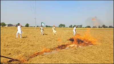Paddy straw-burning incidents till October 4 this year has seen 69% slide in Punjab this year as compared to the corresponding period last year. Paddy straw-burning incidents till October 4 this year has seen 69% slide in Punjab this year as compared to the corresponding period last year.