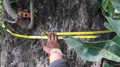 Project Dhvani’s ecologists place audio recorders at selected spots to continually capture the different frequencies of an ecosystem. Project Dhvani’s ecologists place audio recorders at selected spots to continually capture the different frequencies of an ecosystem.