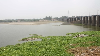 Protecting the Yamuna riverfront and green spaces in the city figures prominently in list of public comments received by the DDA for the Master Plan of Delhi-2041. (ANI) Protecting the Yamuna riverfront and green spaces in the city figures prominently in list of public comments received by the DDA for the Master Plan of Delhi-2041. (ANI)