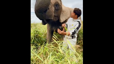 The image shows the acrobat with an elephant. (Instagram/@ rene_casselly)
