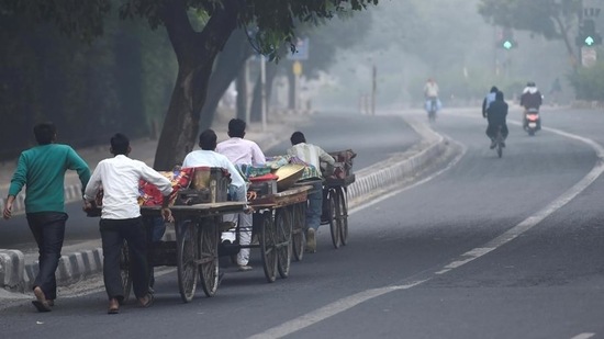 The town vending committees identified 71,347 street vendors in Delhi.(PTI)