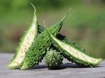 Bitter gourd(Pixabay) Bitter gourd(Pixabay)