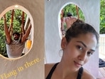 Mira Rajput has shared a new selfie with Shahid Kapoor in the background. Mira Rajput has shared a new selfie with Shahid Kapoor in the background.
