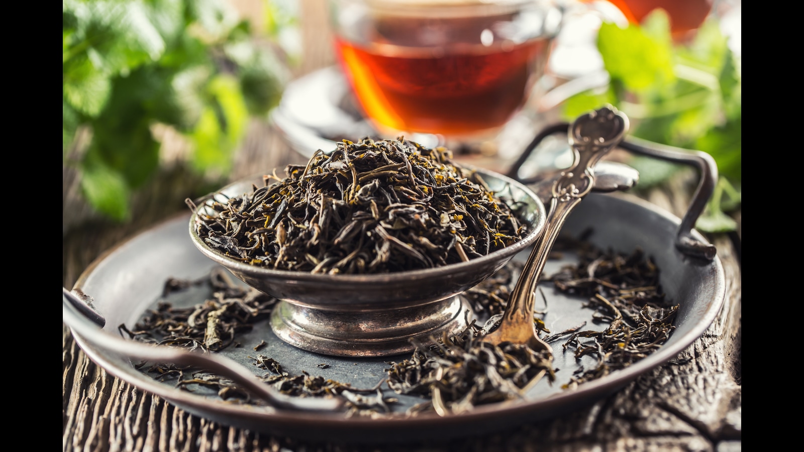 Darjeeling Tea in Tea 