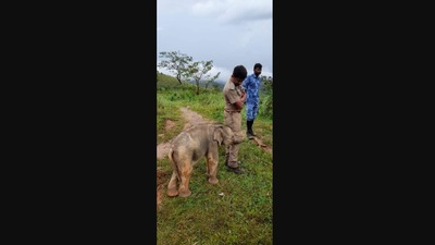 The post about the baby elephant and the forest official has won people’s hearts. (Tamil Nadu Forest Department)