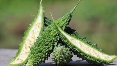 Bitter gourd (Pixabay) Bitter gourd (Pixabay)