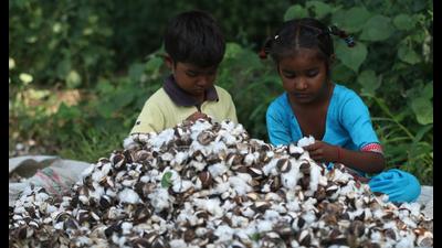 Punjab agriculture minister Randeep Singh Nabha admits that the state needs to think and explore ways to promote organic cultivation of cotton. Punjab agriculture minister Randeep Singh Nabha admits that the state needs to think and explore ways to promote organic cultivation of cotton.