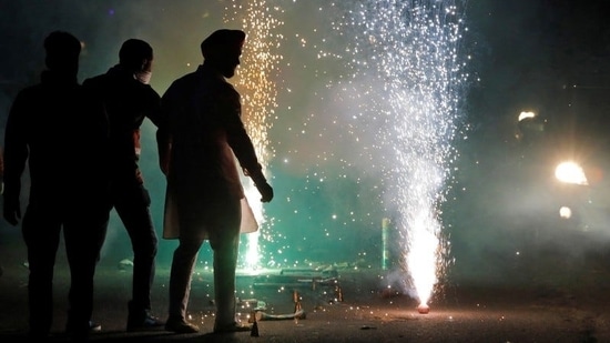 The Rajasthan government has said that “only” green crackers would be allowed this season during the upcoming festive season.&nbsp;(File Photo / REUTERS)