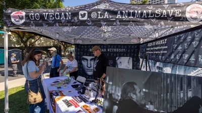 A woman visits a vegan activists' booth at the Vegan Oktoberfest beer festival in Los Angeles on October 16. (AFP) A woman visits a vegan activists' booth at the Vegan Oktoberfest beer festival in Los Angeles on October 16. (AFP)