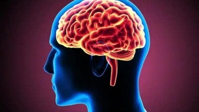 Study explores hidden territory of human brain. (Representational image) (Shutterstock)