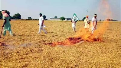 With the onset of the paddy harvesting season, the air quality index is also beginning to deteriorate in Ludhiana as farmers have started burning stubble. (HT File/ Representational image)