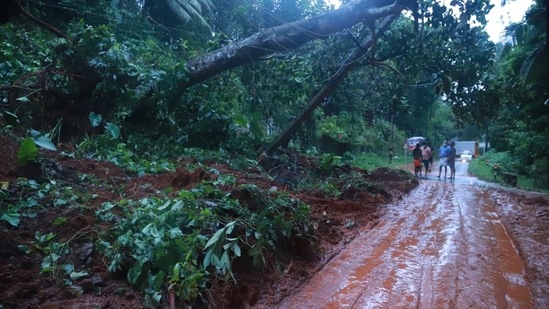 Kerala: Kottayam, Pathanamthitta, and Idukki districts are the worst affected due to the torrential rains. (HT PHOTO) Kerala: Kottayam, Pathanamthitta, and Idukki districts are the worst affected due to the torrential rains. (HT PHOTO)