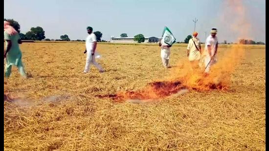 Incidents of stubble burning have increased with great speed in Punjab, Uttar Pradesh, Haryana Incidents of stubble burning have increased with great speed in Punjab, Uttar Pradesh, Haryana