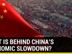 WHAT IS BEHIND CHINA'S ECONOMIC SLOWDOWN? WHAT IS BEHIND CHINA'S ECONOMIC SLOWDOWN?