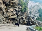 The Badrinath Yatra has been halted and passengers en route to the shrine have been stopped in safe places. (ANI File Photo/Representative Image)
