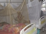 The report added that 243 cases of dengue were reported in just the week-ending October 16.(HT File Photo) The report added that 243 cases of dengue were reported in just the week-ending October 16.(HT File Photo)