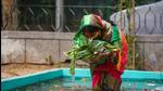 Chhath puja, a three-day festival, will be celebrated between November 8-10 this year (Amal KS/HT PHOTO) Chhath puja, a three-day festival, will be celebrated between November 8-10 this year (Amal KS/HT PHOTO)