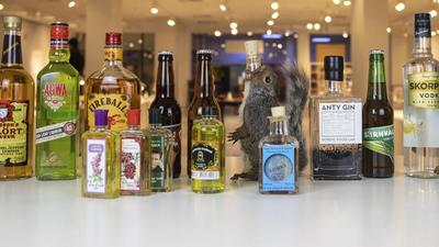 With bars and restaurants now allowed to stay open till 11pm in Pune city, the sale and consumption of liquor has seen a revival. (REPRESENTATIVE PHOTO) With bars and restaurants now allowed to stay open till 11pm in Pune city, the sale and consumption of liquor has seen a revival. (REPRESENTATIVE PHOTO)