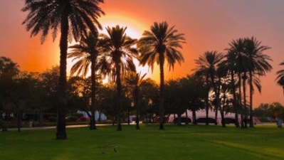 Safa Park: There are several beautiful parks in Dubai that is surrounded by lush greenery. This is one of the many breathtaking parks in the country where you can relax. (Instagram/@libordobis)