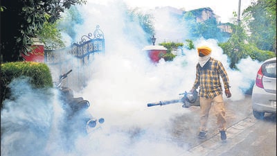 A health worker carrying out fogging in the residential area at Sector 16, Chandigarh, on Monday. (Ravi Kumar/HT) A health worker carrying out fogging in the residential area at Sector 16, Chandigarh, on Monday. (Ravi Kumar/HT)