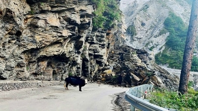 The Badrinath Yatra has been halted and passengers en route to the shrine have been stopped in safe places. (ANI File Photo/Representative Image) The Badrinath Yatra has been halted and passengers en route to the shrine have been stopped in safe places. (ANI File Photo/Representative Image)
