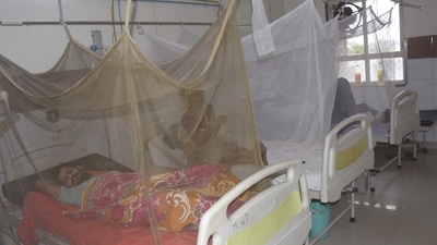 The report added that 243 cases of dengue were reported in just the week-ending October 16. (HT File Photo) The report added that 243 cases of dengue were reported in just the week-ending October 16. (HT File Photo)