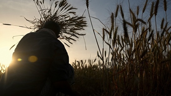 The Global Hunger Index (GHI) 2021 rankings were released last week. India was placed at 101st rank among 116 nations covered in the report. (AFP File Photo)