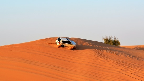 Dubai Desert Safari: This is one of the most sought after things to do in Dubai and is totally worth the hype. You can also opt for overnight camping, safari with desert, safari with Quad biking.(Unsplash)