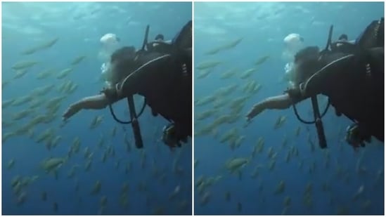 Priyanka had a tryst with a group of small fishes. She can be seen smiling the brightest on seeing underwater life, up and close.(Instagram/@priyankachopra)