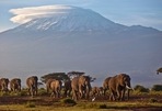 The new report seizes on the shrinking glaciers of Mount Kilimanjaro, Mount Kenya and the Rwenzori Mountains in Uganda as symbols of the rapid and widespread changes to come.(AP)