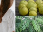 Protein, Vitamin A, C and E, folate, iron, omega 3 fatty acids are among the essential nutrients that are required for hair growth.(Unsplash, Pixabay) Protein, Vitamin A, C and E, folate, iron, omega 3 fatty acids are among the essential nutrients that are required for hair growth.(Unsplash, Pixabay)