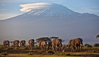 The new report seizes on the shrinking glaciers of Mount Kilimanjaro, Mount Kenya and the Rwenzori Mountains in Uganda as symbols of the rapid and widespread changes to come. (AP) The new report seizes on the shrinking glaciers of Mount Kilimanjaro, Mount Kenya and the Rwenzori Mountains in Uganda as symbols of the rapid and widespread changes to come. (AP)