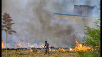The cluster officers in Punjab’s Moga failed to submit action taken reports on stubble burning, a major concern for the state at this time of the year; showcause notices seek reply within three days. (HT File) The cluster officers in Punjab’s Moga failed to submit action taken reports on stubble burning, a major concern for the state at this time of the year; showcause notices seek reply within three days. (HT File)