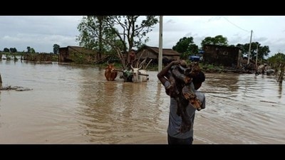 The DM asked the residents of flood-prone areas of Nighasan, Pallia, Dhaurahra and Lakhimpur tehsils to move to safer places in view of the flood threat (HT photo) The DM asked the residents of flood-prone areas of Nighasan, Pallia, Dhaurahra and Lakhimpur tehsils to move to safer places in view of the flood threat (HT photo)