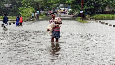 The season’s rainfall data on IMD website shows that the normal rainfall in Kerala for the period of October 1 to 19 was 192.7 mm whereas the actual rainfall was 453.5mm. (PTI) The season’s rainfall data on IMD website shows that the normal rainfall in Kerala for the period of October 1 to 19 was 192.7 mm whereas the actual rainfall was 453.5mm. (PTI)