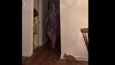 The cat takes its position to startle the woman. Screengrab The cat takes its position to startle the woman. Screengrab