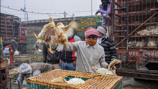 The Ghazipur poultry market is managed by Delhi Agricultural Marketing Board. (PTI)