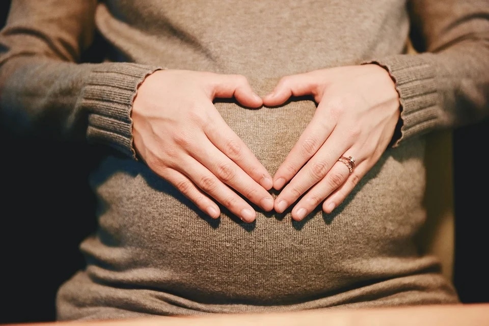 Research into the drivers behind low vaccine acceptance among pregnant people has found that the most common concerns have been a lack of information about COVID-19 vaccine safety (Pixabay) Research into the drivers behind low vaccine acceptance among pregnant people has found that the most common concerns have been a lack of information about COVID-19 vaccine safety (Pixabay)