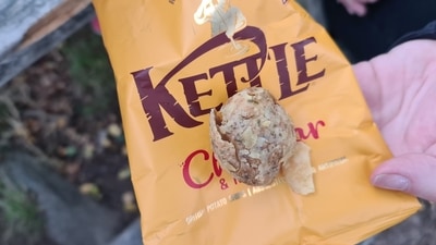 Man finds whole potato in a packet of chips. (Twitter/@DrDavidBoyce) Man finds whole potato in a packet of chips. (Twitter/@DrDavidBoyce)
