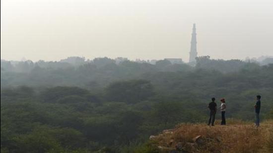 A view of Sanjay Van forest reserve. DDA officials said they are not planning any major constructions in the area, since it is part of the Ridge, which is a reserved forest area where all non-forest activities are curtailed. (HT Archive)