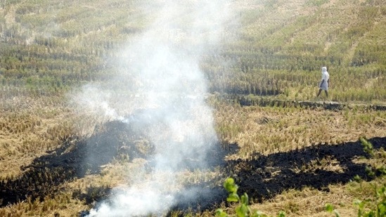 The impact of this high number of fires was also seen in Delhi’s air on Wednesday, as the air quality index climbing to 221, into the “poor” zone once again, after a welcome spell of good air days. The impact of this high number of fires was also seen in Delhi’s air on Wednesday, as the air quality index climbing to 221, into the “poor” zone once again, after a welcome spell of good air days.